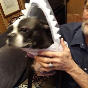 Meet your Posher, Debra